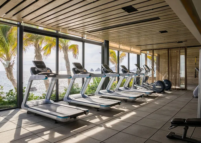 The Cape, A Thompson Hotel, By Hyatt Cabo San Lucas